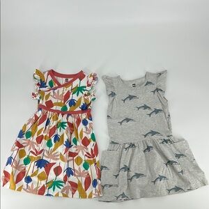 Tea Collection 2 Dress Bundle size 5